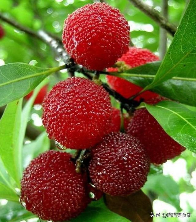 因?yàn)榧竟?jié)不同各地都有當(dāng)?shù)氐臅r(shí)令美食，你最喜歡的時(shí)令美食是什么？