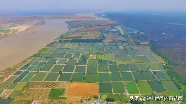 河南老鄉(xiāng)注意啦！在深圳的河南飯店接龍，推薦好吃的豫菜？做個(gè)河南飯店匯總？